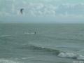 Plus la mare descend, plus les vagues s'ordonnent