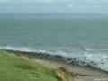 A mare basse la surface se lisse