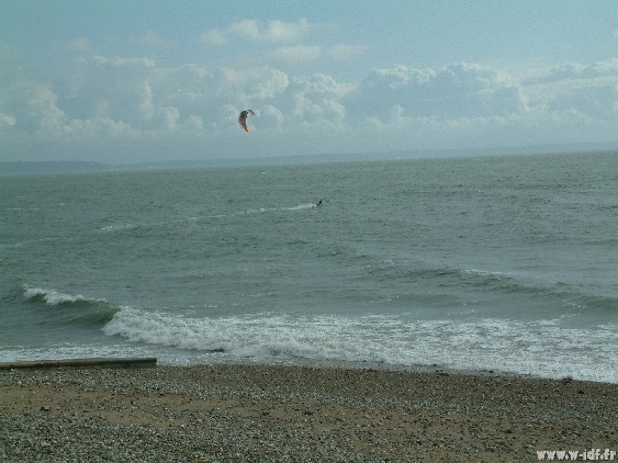 Mise  l eau(mare basse)